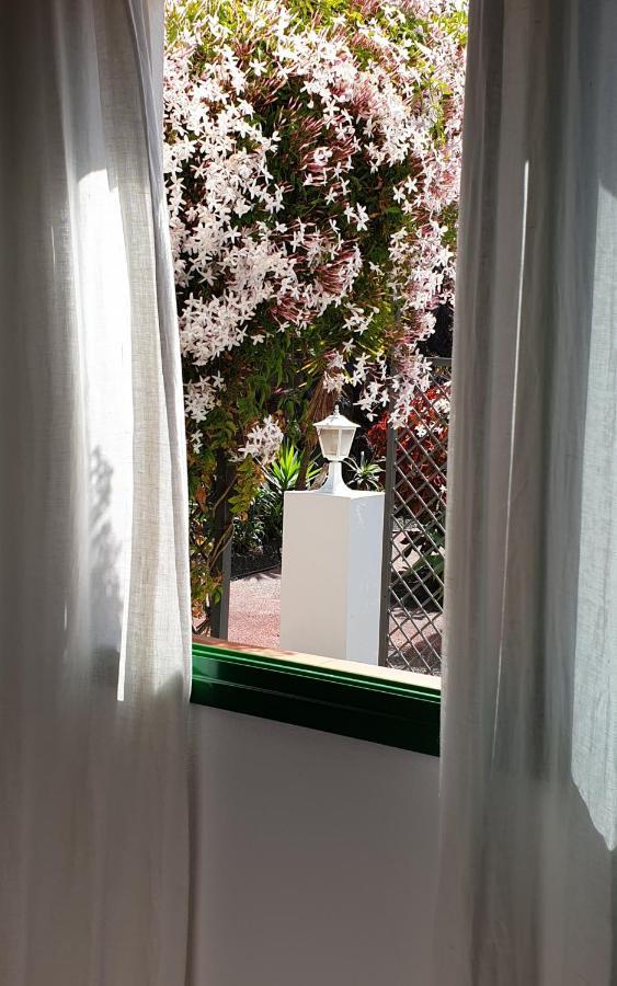 Bungalow La Datura エル・パソ エクステリア 写真